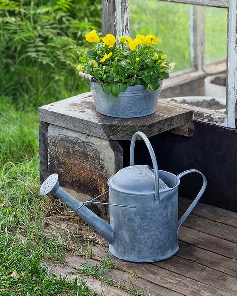 Koristekastelukannu, 10 l