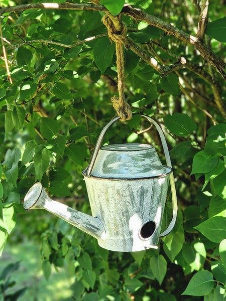 Lintutalo, kastelukannu