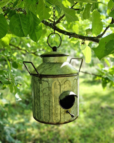 Lintutalo, maitotonkka