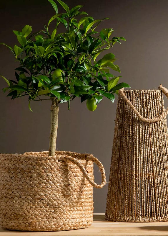 Juuttikori kahvoilla