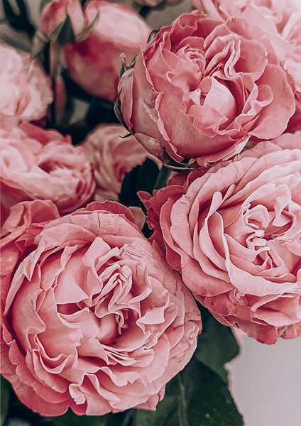 Valokuva 2-osainen kortti, Ruusut