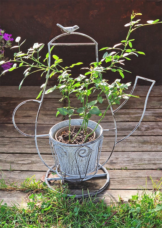 Metallinen kasviteline, kahvipannu