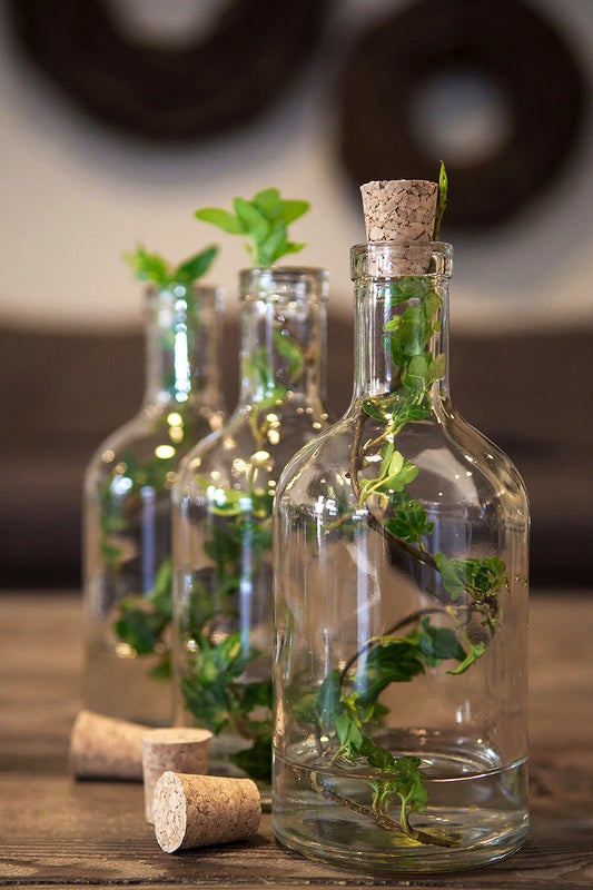 Lasipullo korkilla, eri kokoja