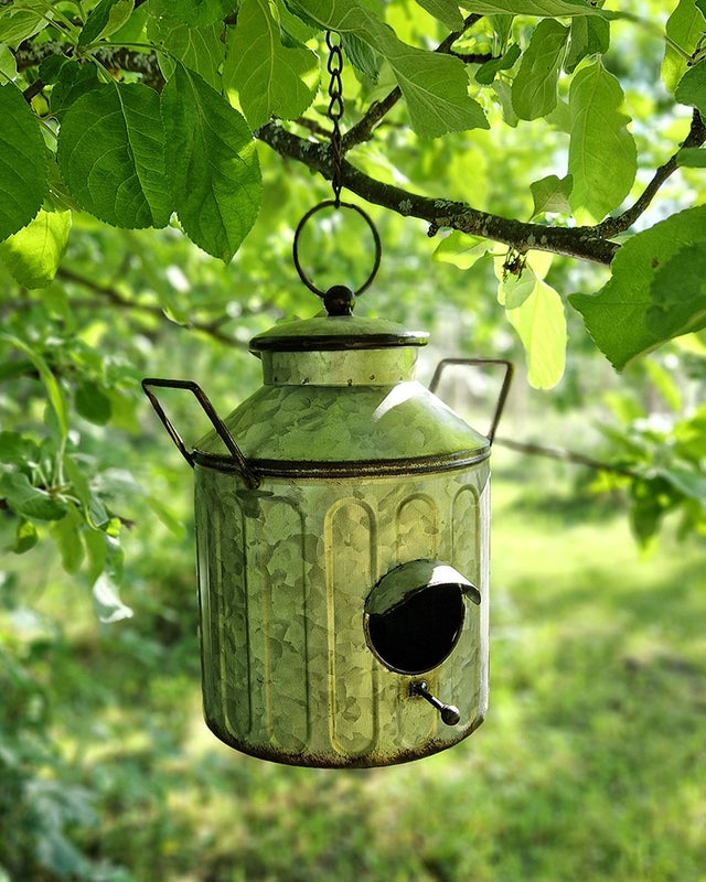 Lintutalo, maitotonkka