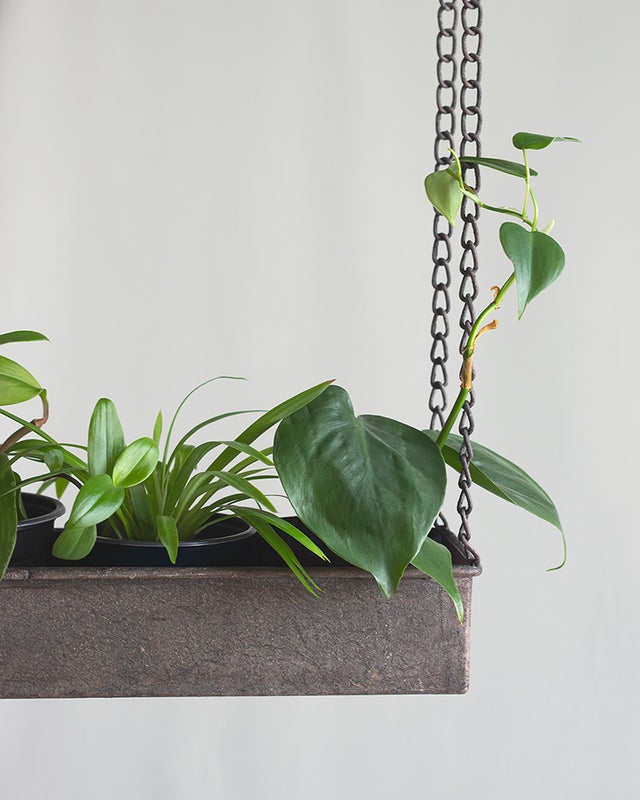 Ripustettava kasvihylly ketjuilla